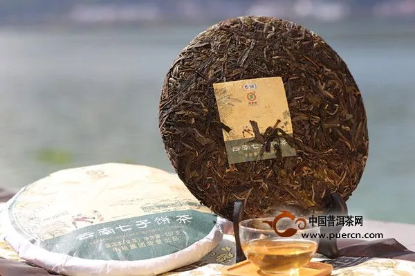 【新品預(yù)告】中茶普洱茶云南七子餅茶即將上市