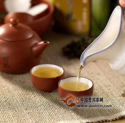 【喝茶段子】普洱茶生于自然，长于自然