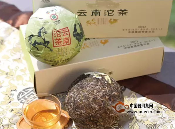 中茶普洱与您相约广州，共同品味广府茶文化