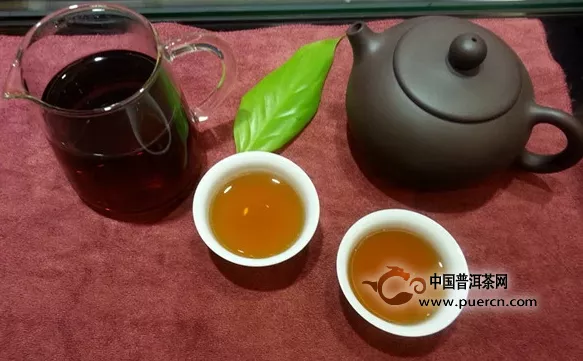 普洱茶应为云南大叶种茶