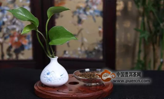 现在的人都喜欢普洱茶生茶