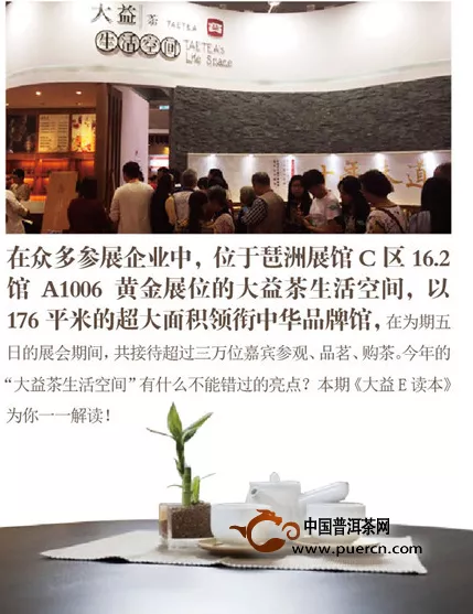 广州茶博会大益茶生活空间精彩回顾