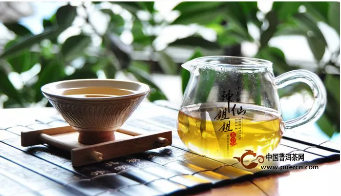 致青春，羅劍與漸行漸遠(yuǎn)的安定茶廠