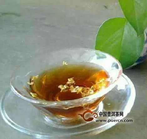 普洱茶有愛茶人的最后一站之美譽