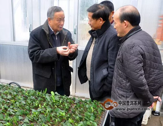 俞永明研究员到紫阳指导富硒茶产业发展