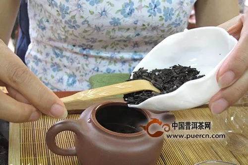如何冲泡普洱大树茶？