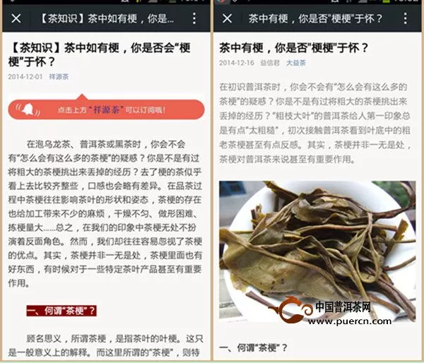 微信公众号抄袭风盛行 茶叶体验师委屈诉苦