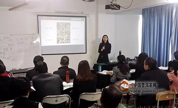 中国茶叶流通协会海南评茶员职业技能培训班成功举办