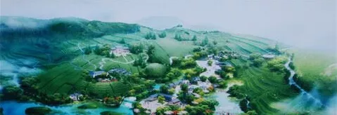 原生庄园：打造中的有机茶生态庄园（四）