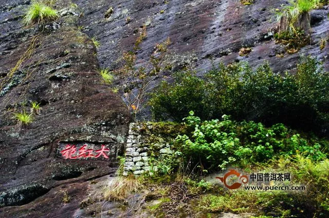 盤點(diǎn)那些土豪也任性不能的茶「貴到你憂傷」