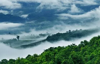 普洱茶的地理价值是什么？