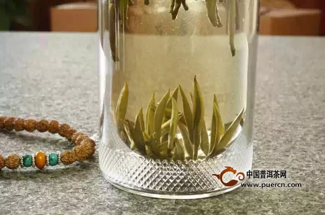 老茶农教你泡白茶 