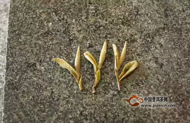 老茶農(nóng)教你泡白茶 