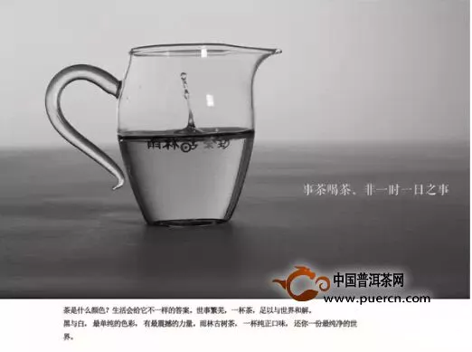 《岁华》带你轻松喝懂看懂古树茶