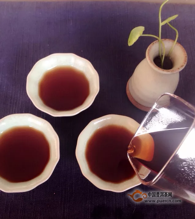 【喝茶段子】普洱茶冲泡