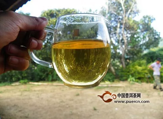 云南普洱茶区一个贫民茶农的自白