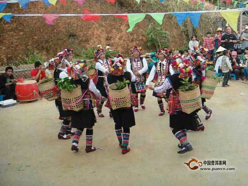 南糯山竹林村举行2015年春茶季开采仪式