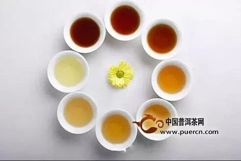 趙本山都在喝的普洱茶，你還在等什么？