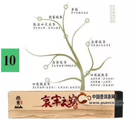 景东发现28.6万亩野生茶居普洱首位 