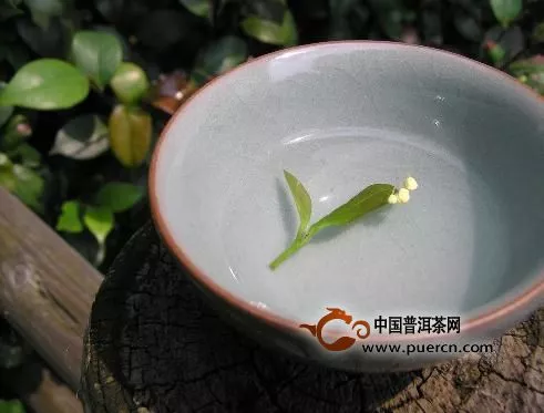 用前世的水，泡今生的茶