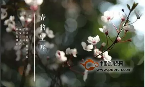 《忠茶微刊》第四期—微中藏世界，春里閱華章 