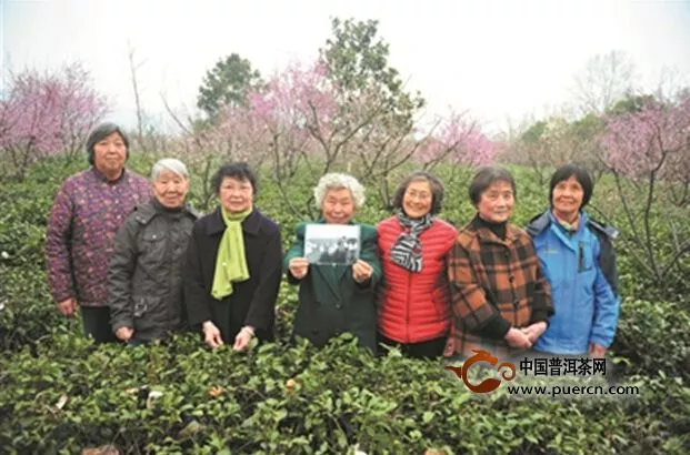 南京老照片上的采茶女时隔57年重聚茶园 