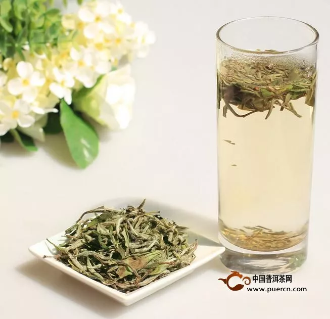 中国七大茶系之白茶