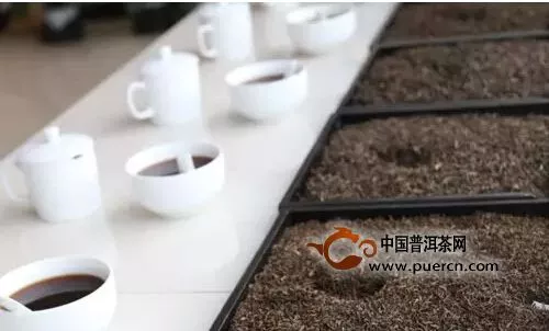 勐海茶厂春茶原料采供探秘 