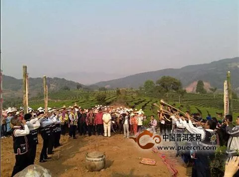 普洱宁洱温泉村举行祭茶神春茶开采仪式