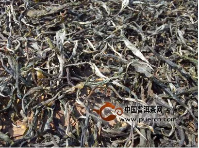 云南茶價(jià)回落 茶農(nóng)茶商感到很寬慰