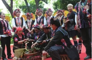 西双版纳勐海举办首届南糯山“春之芽”文化节