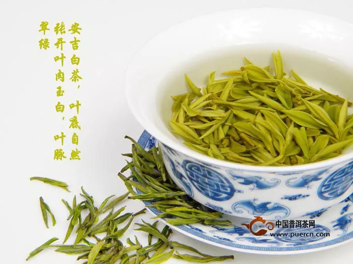 中国白茶的种类