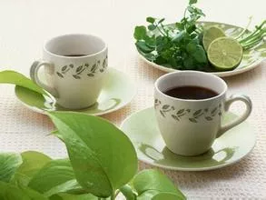 绿茶——让女人更美丽