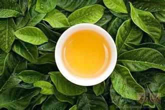 茶叶用辛香花类植物中原保存与利用