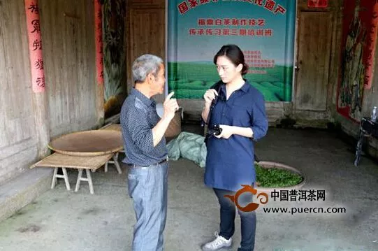 央视记者采访福鼎白茶传统制作技艺的非遗传承人