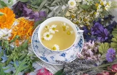 你该喝什么茶？