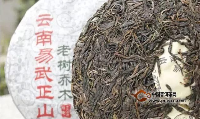 【新品上市】茶莫停老树乔木2015领“鲜”上市 