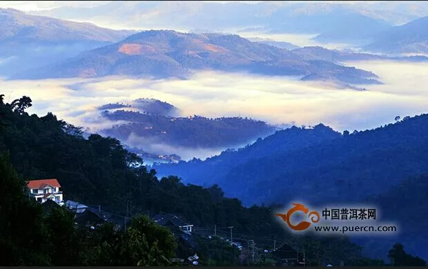 第七届勐海茶王节开幕 勐海建设中国普洱茶第一县