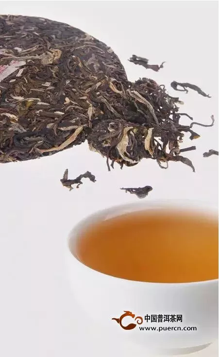 勐宋茶山霸檬專業(yè)審評(píng)