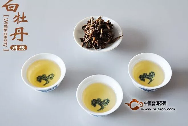 白牡丹茶叶的历史及其特征
