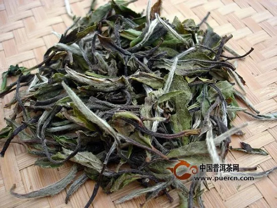 白牡丹茶傳說