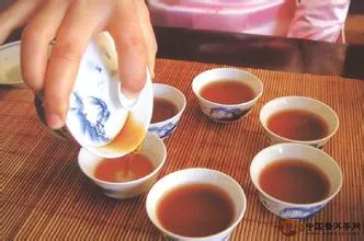 【茶友须知】用普洱茶的六味，教你如何品春古？