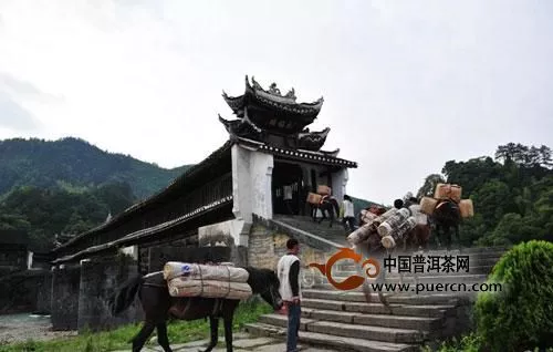 回顧神奇的茶馬古道