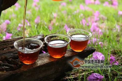 【普洱早課】關(guān)于普洱茶年份的七個(gè)階段