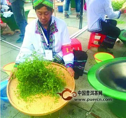 “茶王”選拔，茶青是關鍵