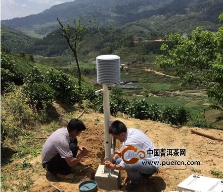 腾冲种茶科技：茶叶种植园自动气象站建成