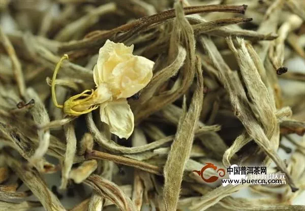 制茶行家林增钦：福州茉莉花茶传统工艺的传承