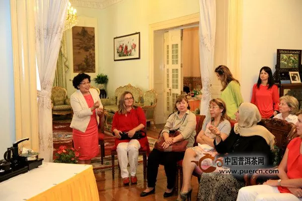 驻埃及使馆妇女组举办中国茶文化展示活动