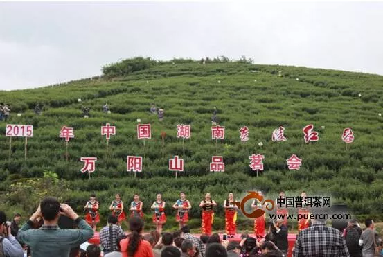 2015年中国·湖南“炎陵红茶”万阳山品茗会