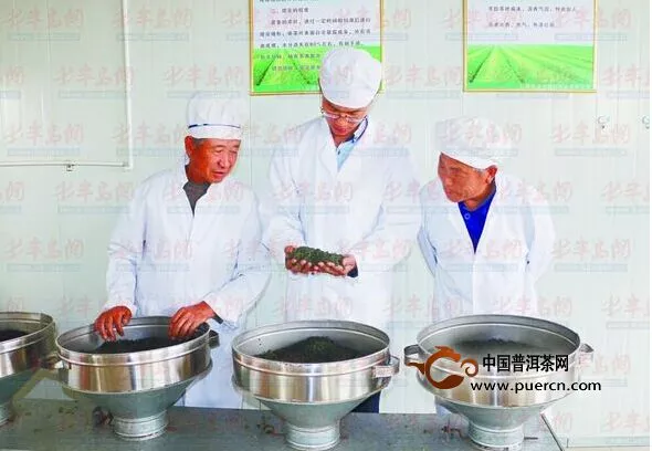 山师大侯传龙扎根茶园 抢占电商市场4年售出万斤放心茶
